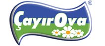 cayırova.jpg